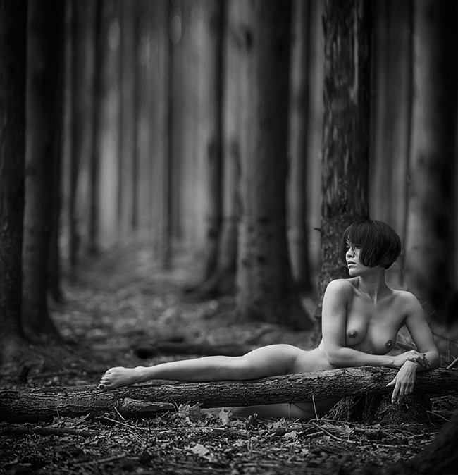 1st Place Winner – Nude Discovery of the Year 2015 – in my Forest by Ingo Kremmel (Austria)