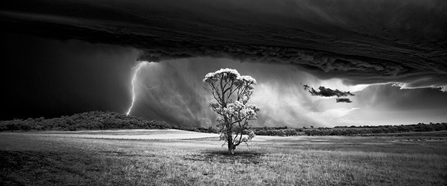 Monochrome Photographer of the Year (Professional), Barossa Bolt by Luke Tscharke (Australia)