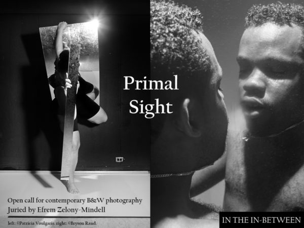 Primal Sight: Open Call for Contemporary B&W Photography - logo