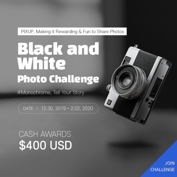 PIXUP – Black and White Photo Challenge - logo