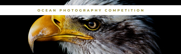 OCEAN Photography Competition