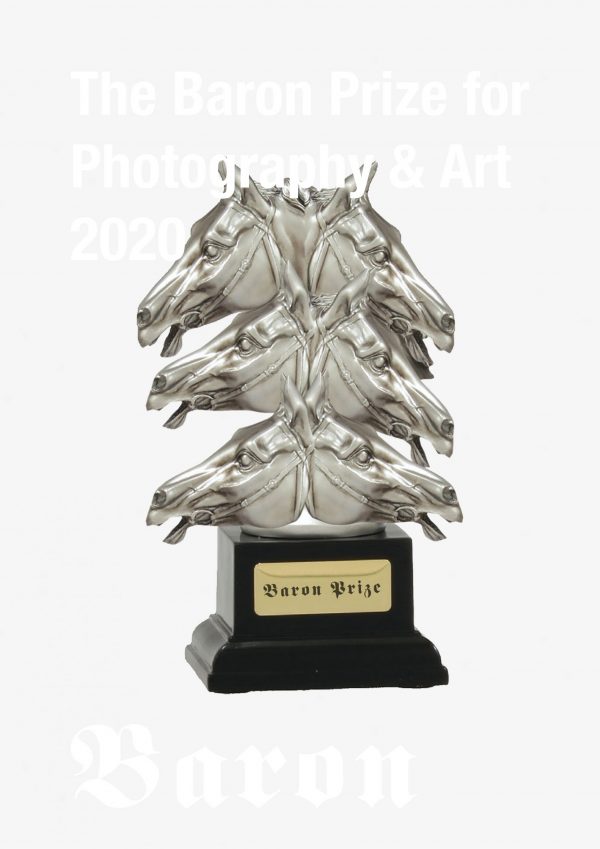 The Baron Prize for Art and Photography 2020