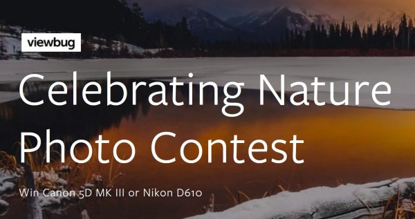Viewbug Nature Photo Contest 2020