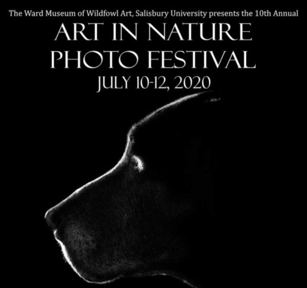 10th Annual Art in Nature Photo Festival 2020