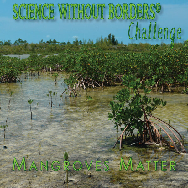 2021 Science Without Borders® Challenge – International Student Art Contest - logo