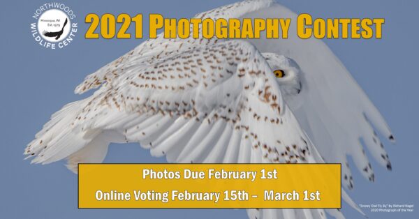 Northwoods Wildlife Center 2021 Photography Contest - logo