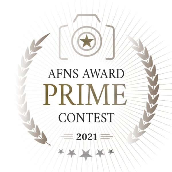 AAPC – Afns Award Prime Contest 2021 - logo