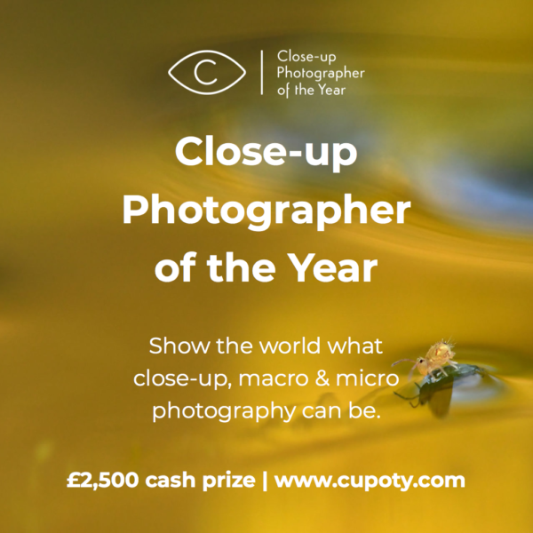Close-up Photographer of the Year 2021 - logo