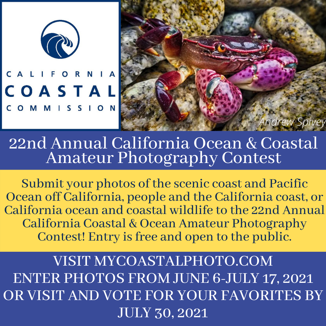 22nd Annual Coastal and Ocean Amateur Photography Contest - logo