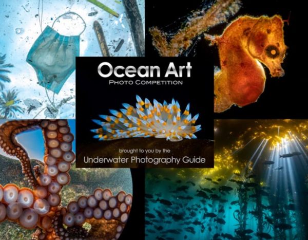Ocean Art 2021 Underwater Photo Competition