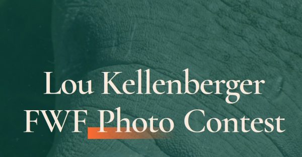Lou Kellenberger FWF Photo Contest 2021