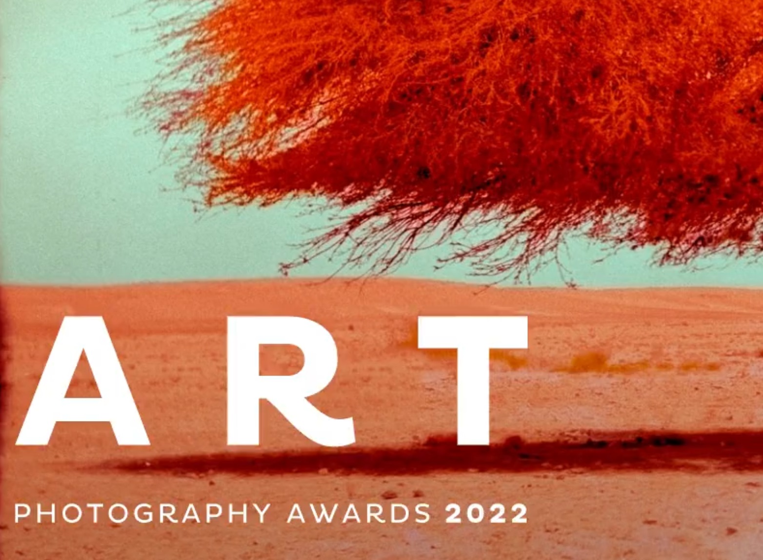 LensCulture Art Photography Awards 2022 - logo