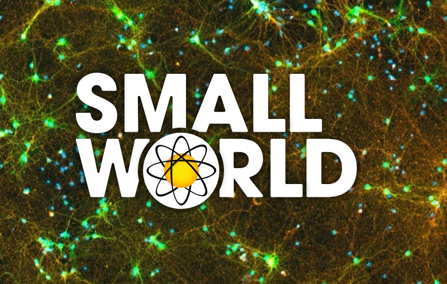 Nikon Small World Competition 2022 - logo