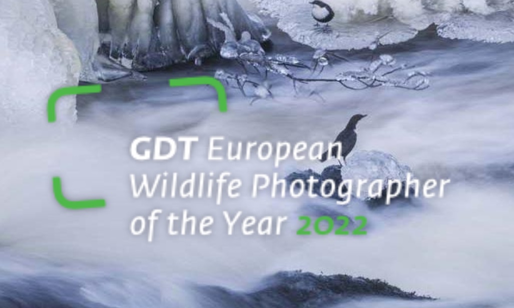 GDT European Wildlife Photographer of the Year 2022 - logo