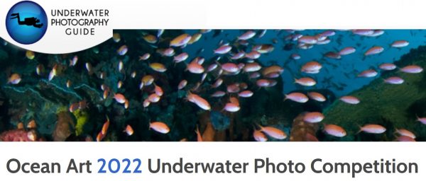Ocean Art 2022 Underwater Photo Competition