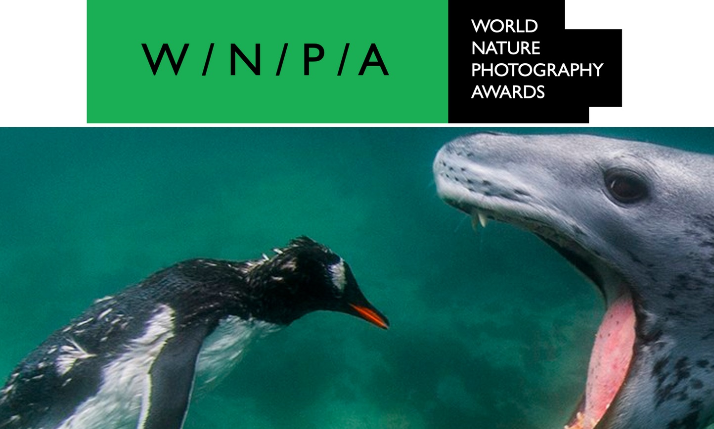 World Nature Photography Awards 2022 - logo