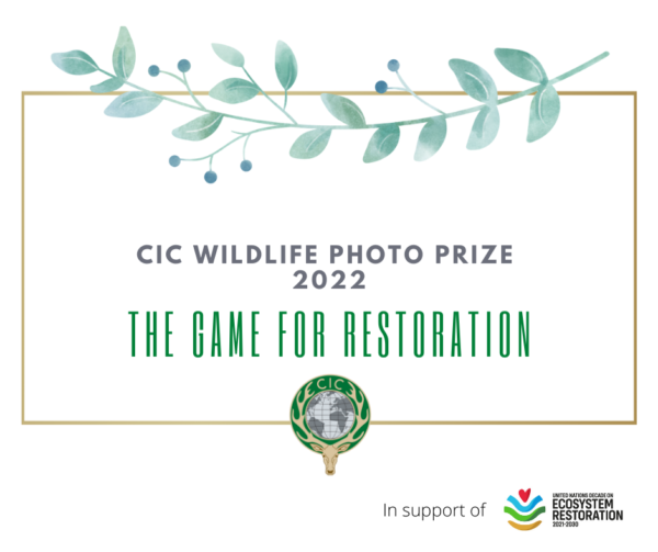 CIC Wildlife Photo Prize 2022 - logo