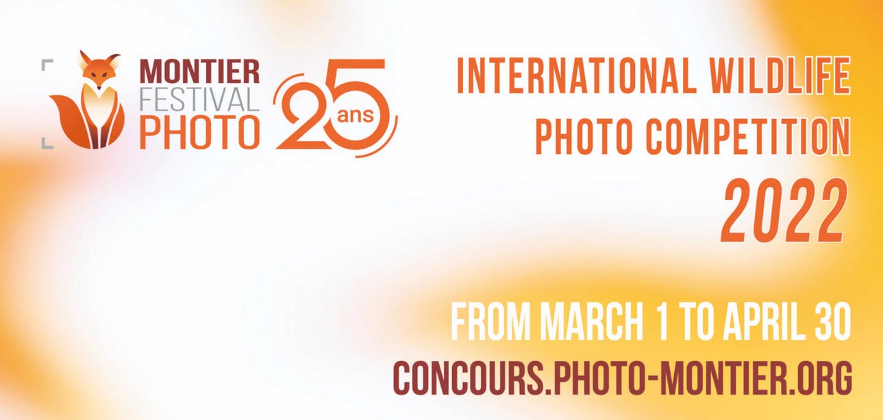 International Wildlife Photo Competition 2022 - logo