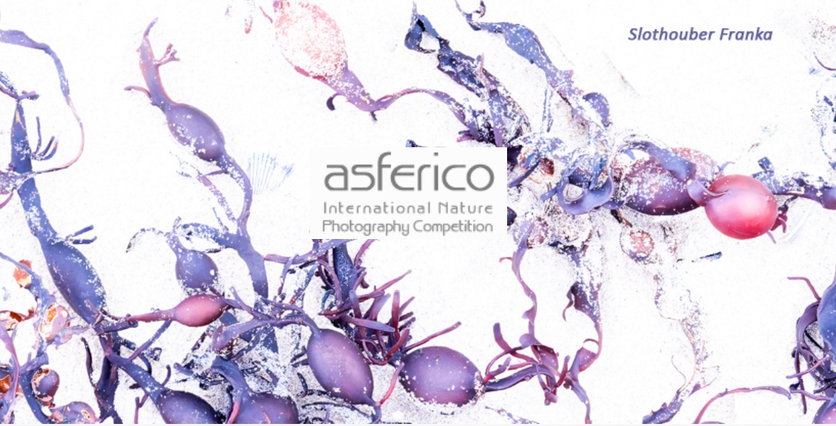 ASFERICO Nature Photography Competition 2022 - logo