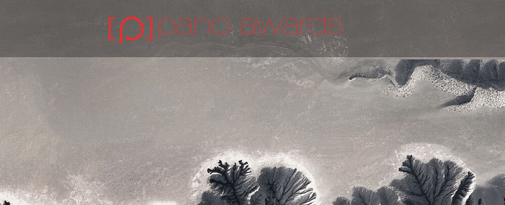 Epson International Pano Awards 2023 - logo