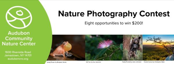 Audubon Community Nature Center 2023 Photography Contest