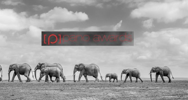 14th Epson International Pano Awards