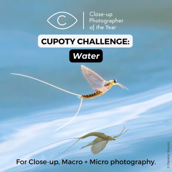 CUPOTY CHALLENGE: Water