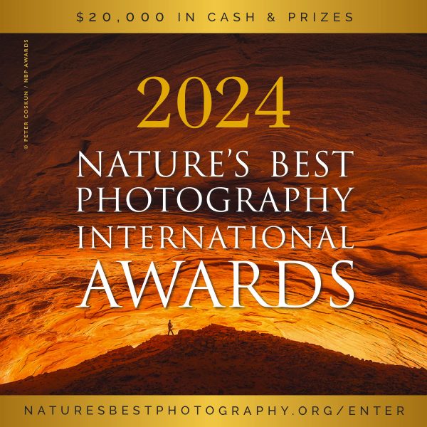 2024 Nature’s Best Photography International Awards