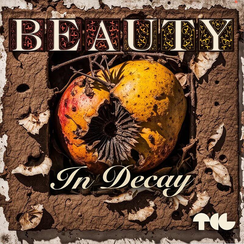 Call For Photography: The Beauty in Decay - logo