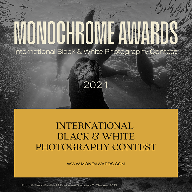 Monochrome Awards 2024 - logo