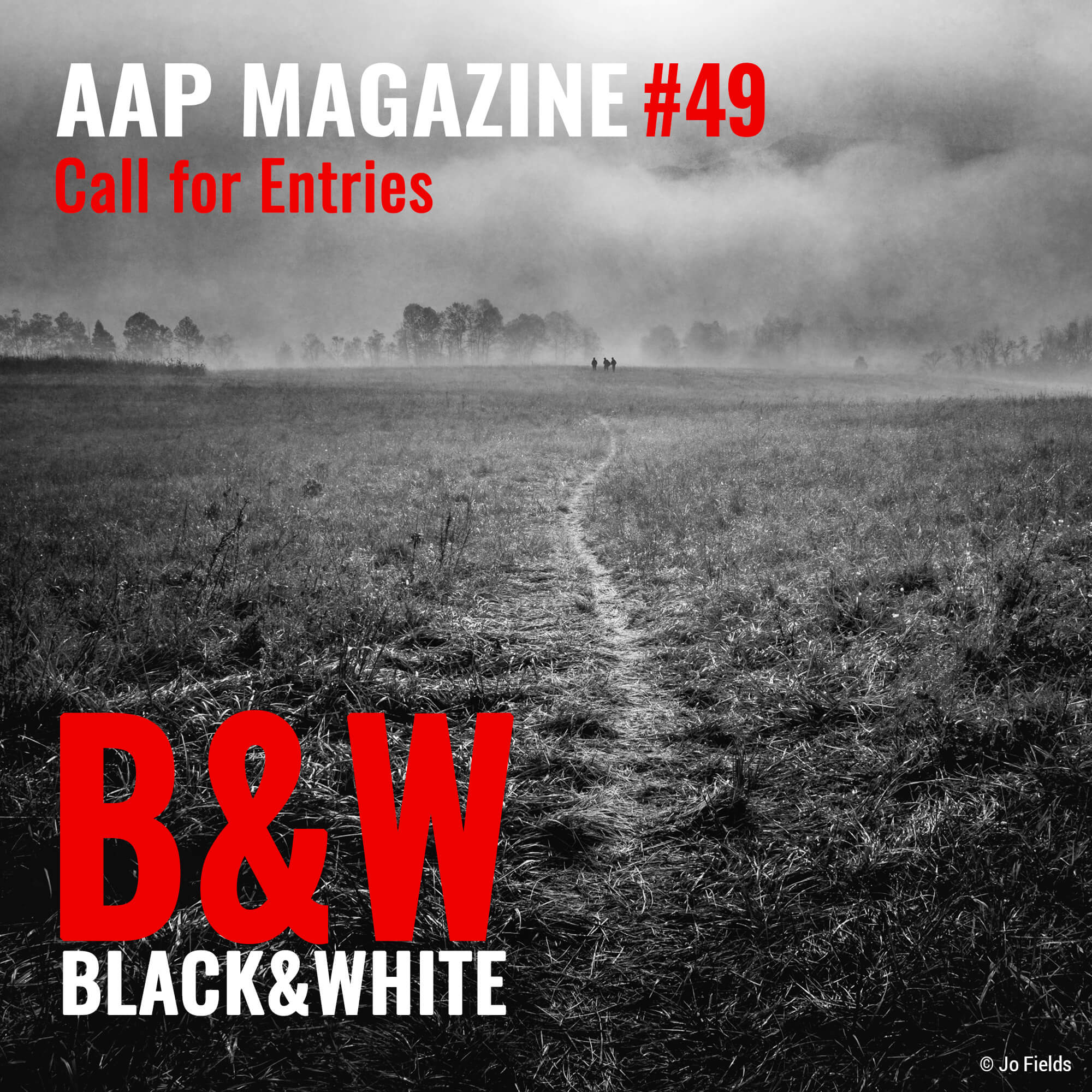 AAP Magazine #49 B&W: Publish your work in a printed magazine - logo
