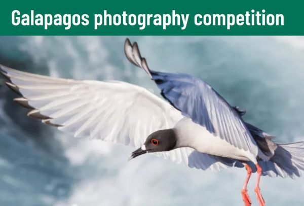 Galapagos Photography Competition 2025