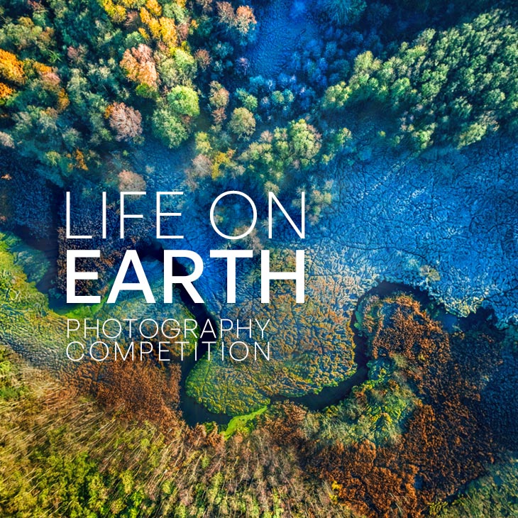 ‘Life on Earth’ at Blackburn Cathedral - logo