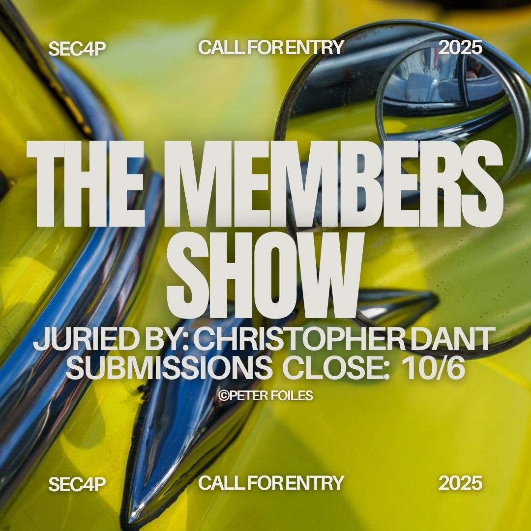 Call for Entry, The Members Show - logo