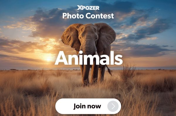 Xpozer Animals Photo Contest