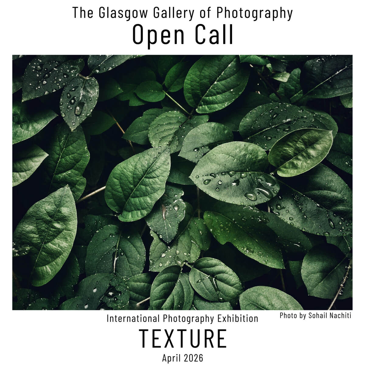 Texture 2026 International Photography Exhibition Texture 2026 International Photography Exhibition - logo