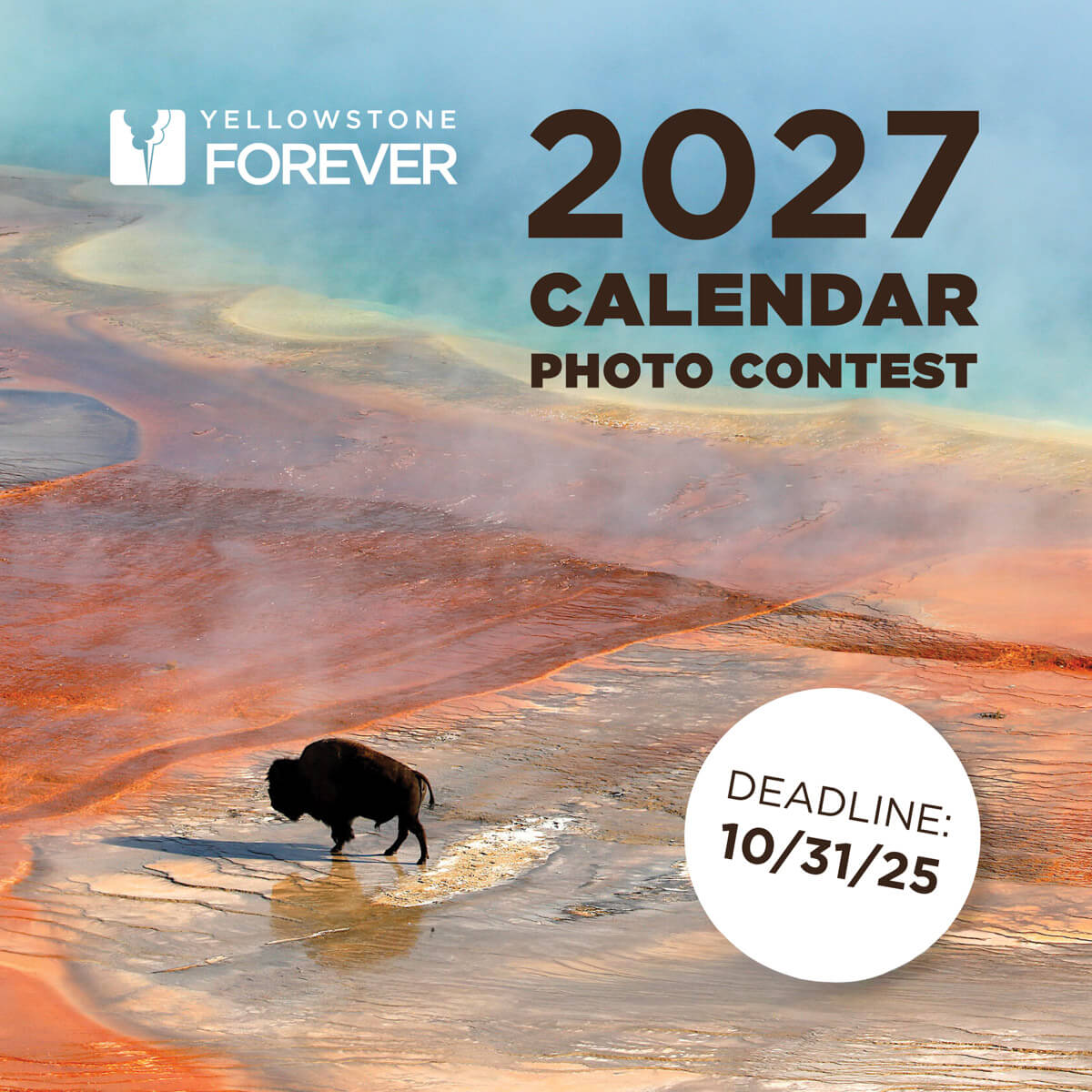 Yellowstone Forever Calendar Photo Contest Yellowstone Forever Calendar Photo Contest - logo