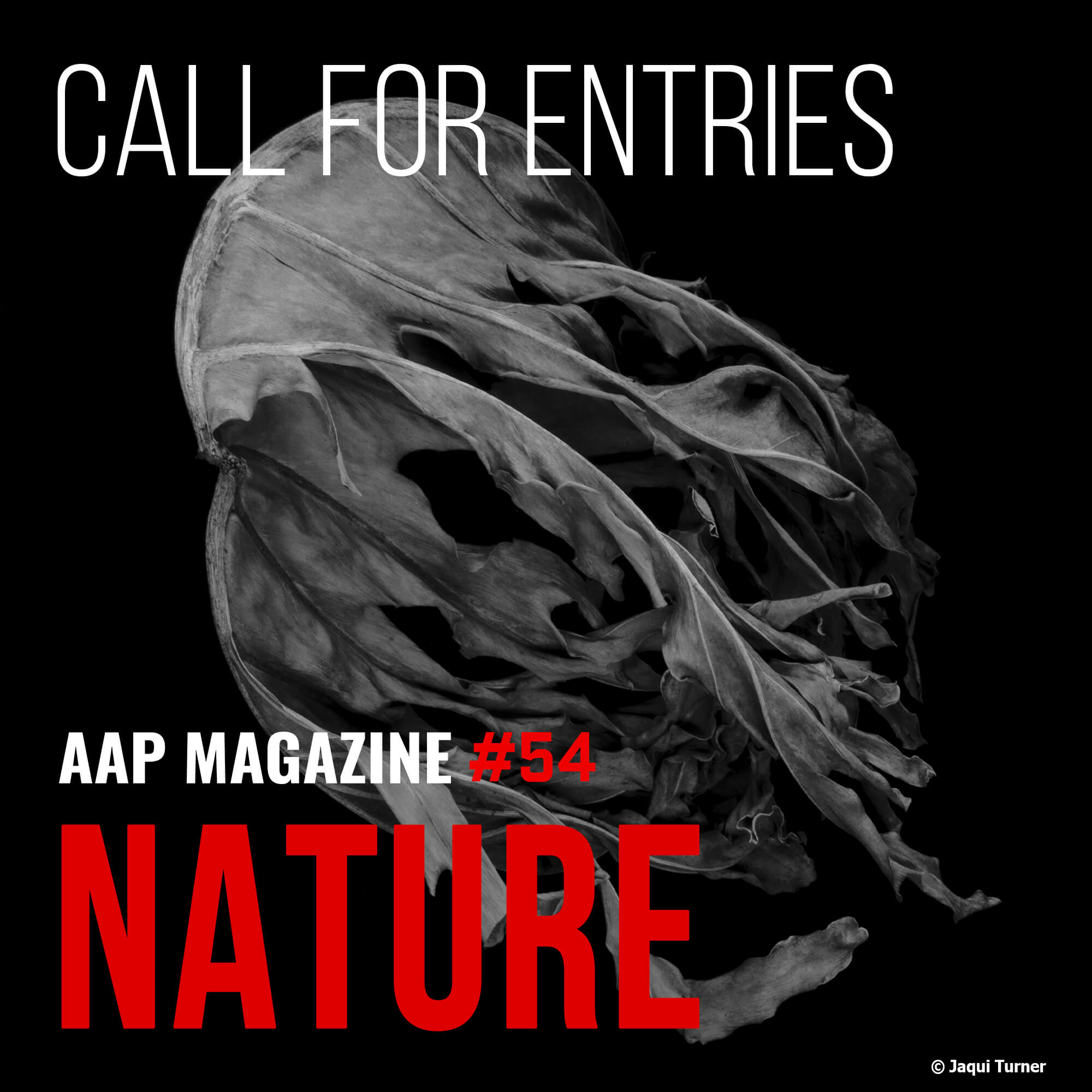 AAP Magazine 54 Nature - logo