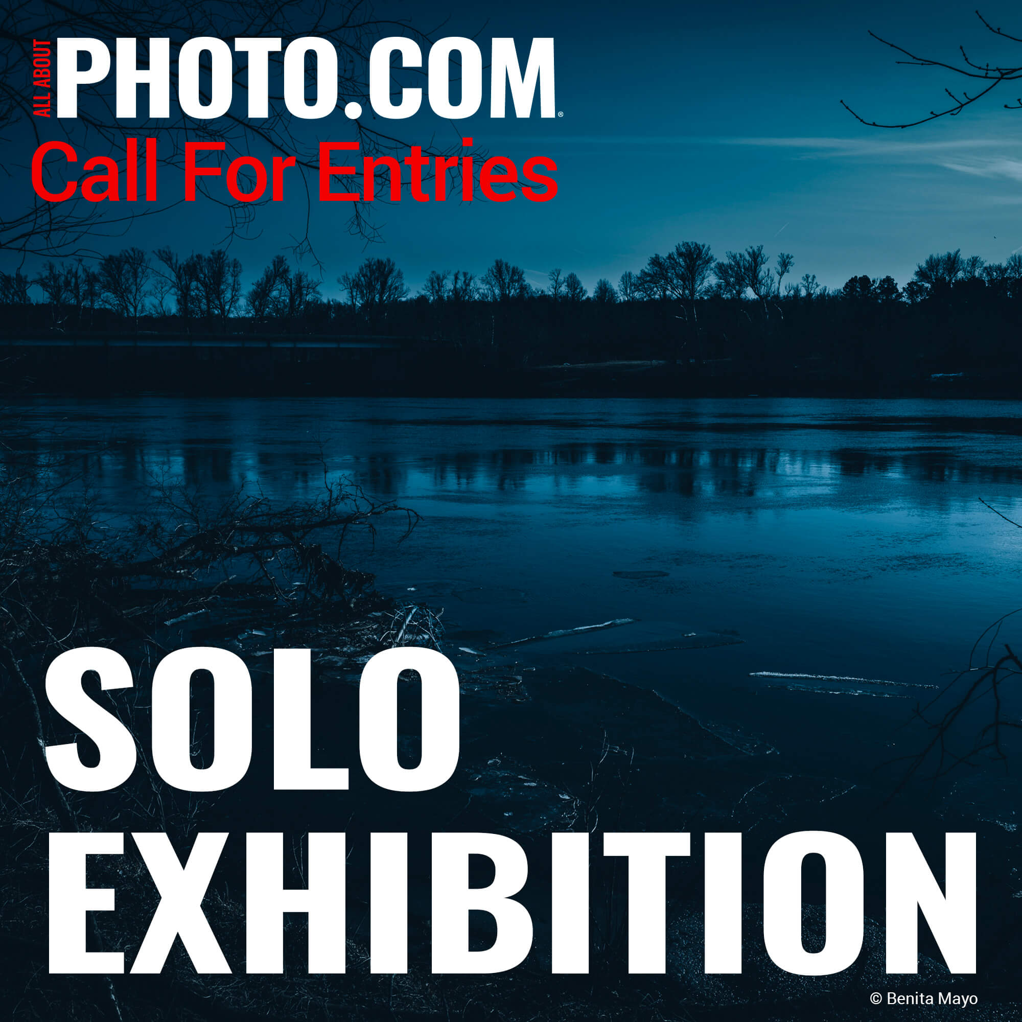 All About Photo Solo Exhibition: January 2026 - logo