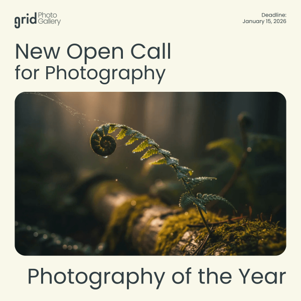 Photography of the Year 2025 Grid Photo Gallery
