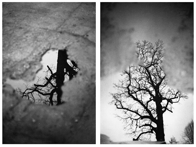 Diptych – Open Theme - logo