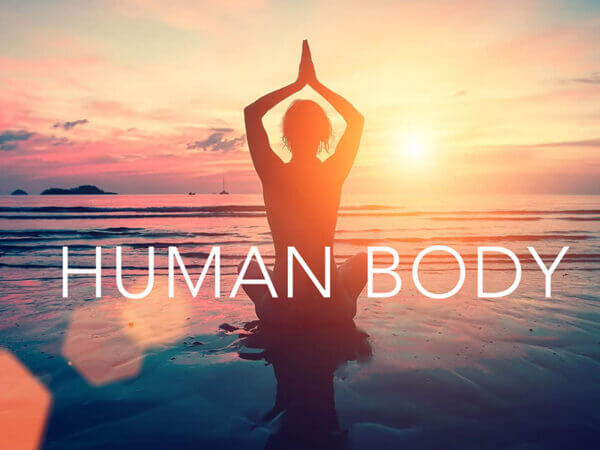 Human Body - logo
