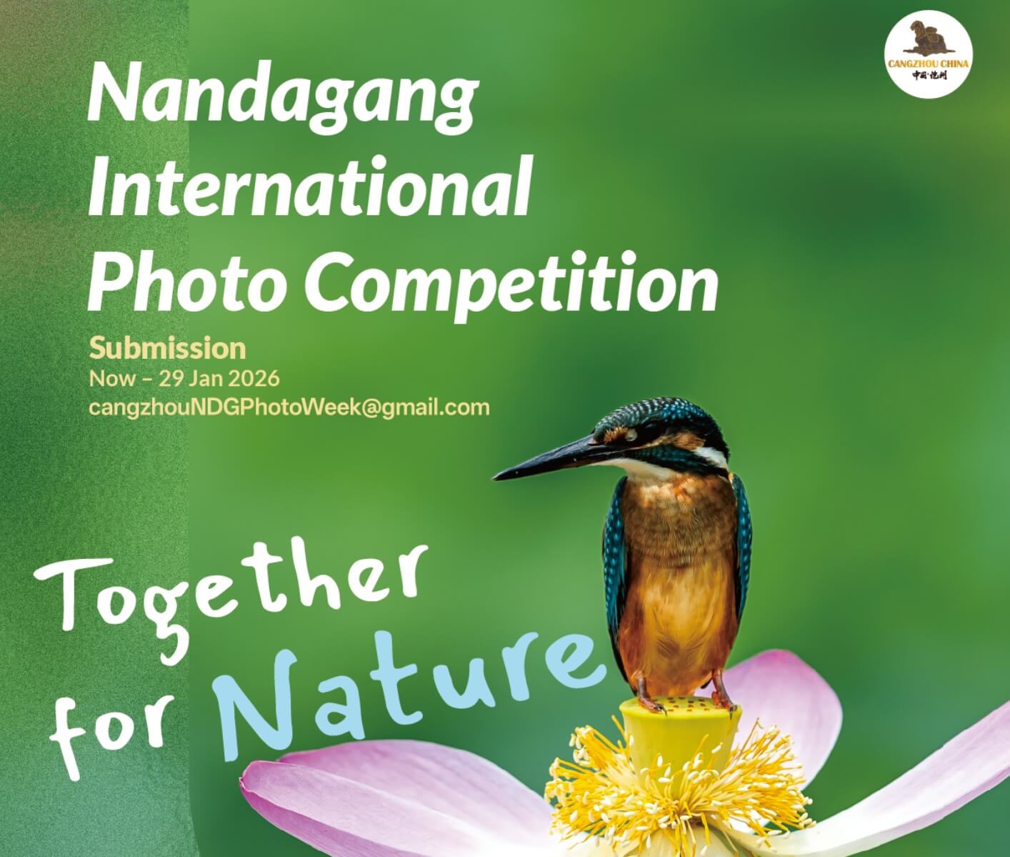 Nandagang International Photo Competition - logo
