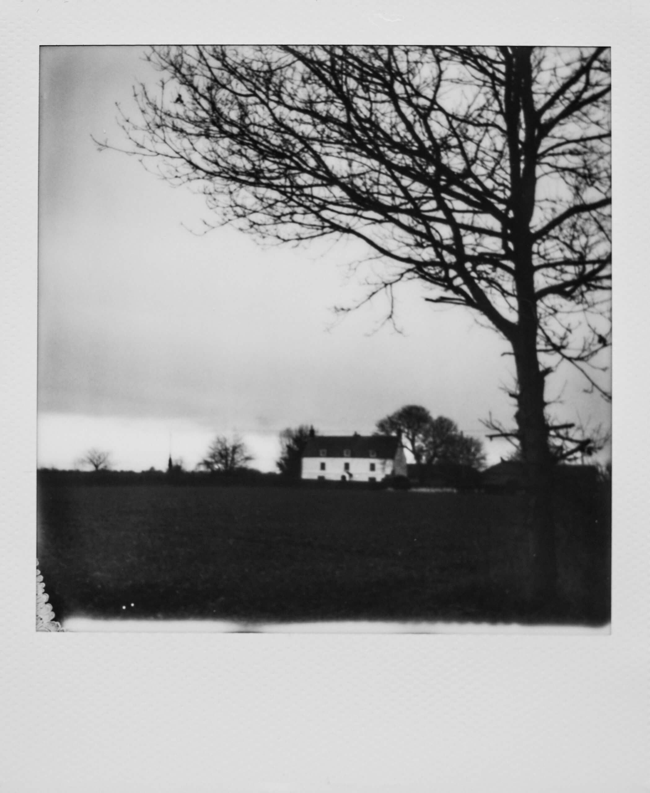 “Darm Frames III” A Black & White Photography Exhibition - logo