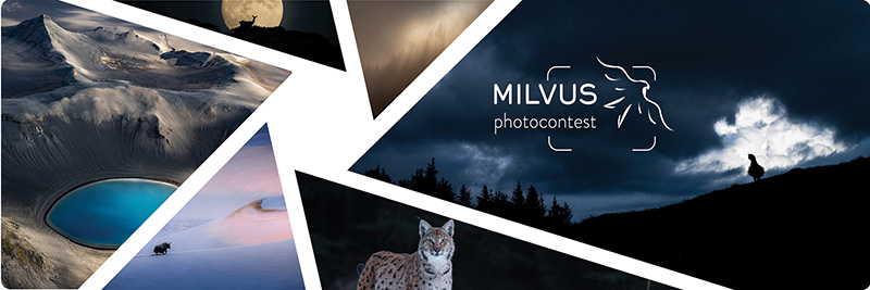 Nature Photography Competition Milvus Photocontest - logo