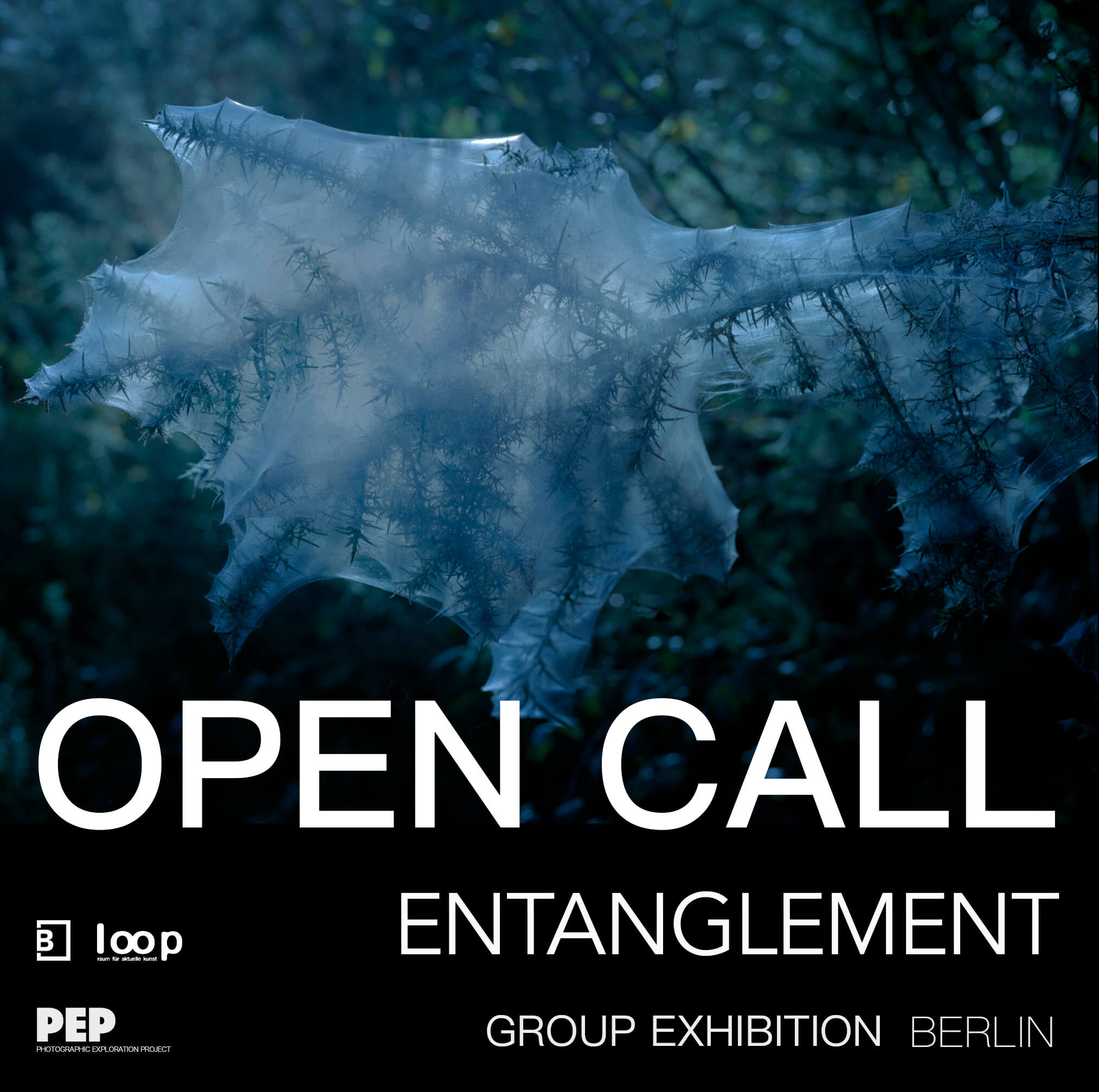 ENTANGLEMENT – take part in the next PEP exhibition in Berlin! - logo
