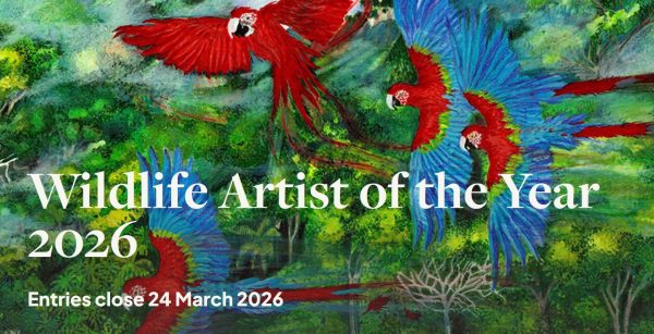 Wildlife Artist of the Year 2026