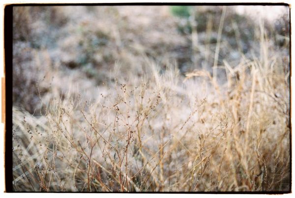 "Flora" A Nature Photography Exhibition