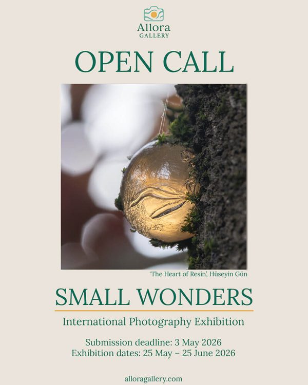 "Small Wonders" A Curated International Photography Exhibition