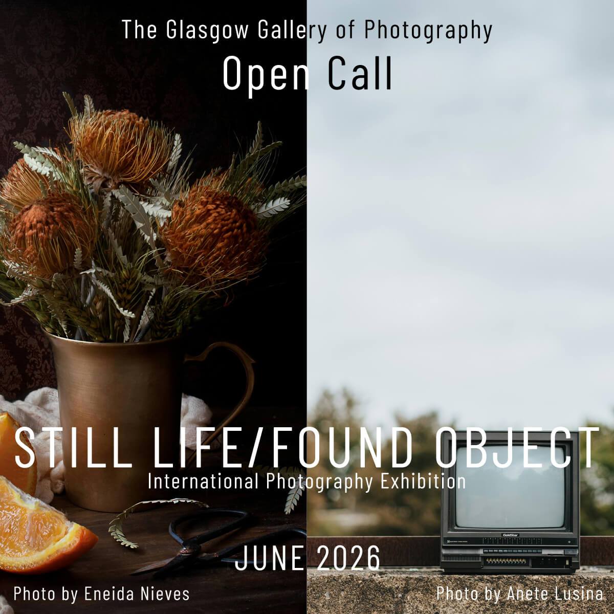 Still Life/Found Object 2026 International Photography Exhibition - logo